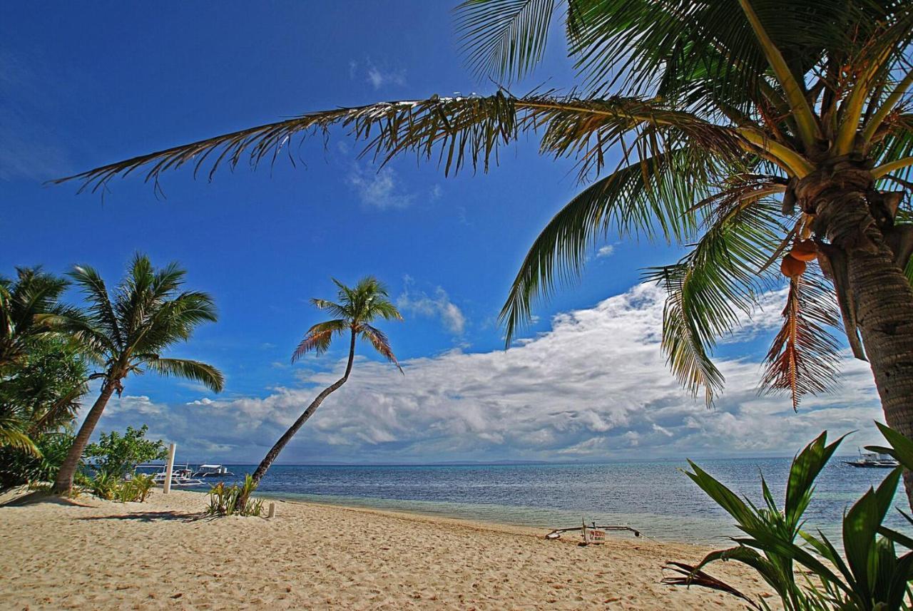 Malapascua Exotic Island Dive Resort Daanbantayan Extérieur photo